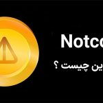 نات کوین چیست؟